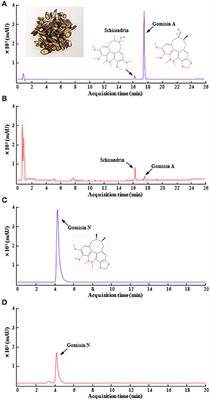 Schisandra chinensis Stem Ameliorates 3-Nitropropionic Acid-Induced Striatal Toxicity via Activation of the Nrf2 Pathway and Inhibition of the MAPKs and NF-κB Pathways